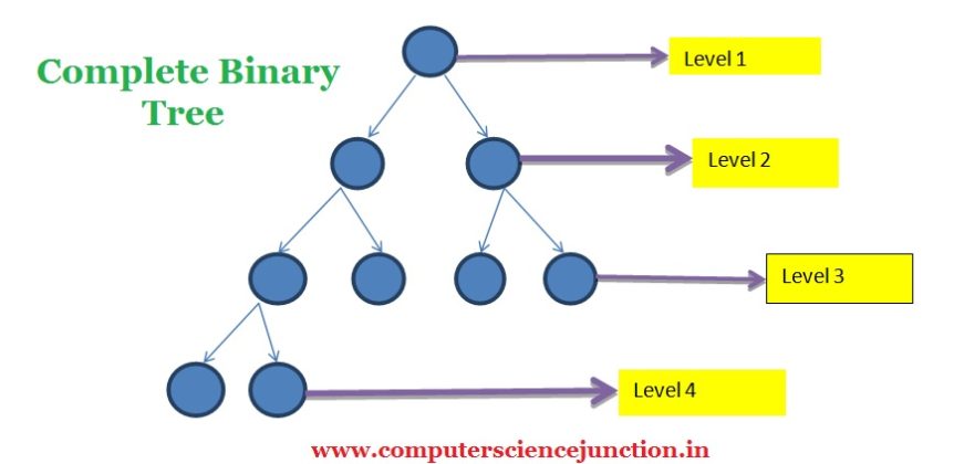 5 Types of Binary Tree Explained [ With Example ]