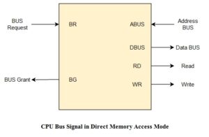 Mode Of Data Transfer In Computer Architecture