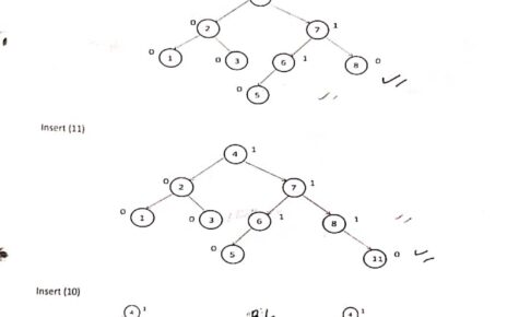 avl tree questions